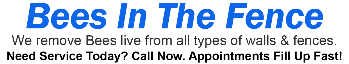 Teddys Bee Removal company logo with text that says, We remove bees from fences and walls. Call now. Appointments fill up fast